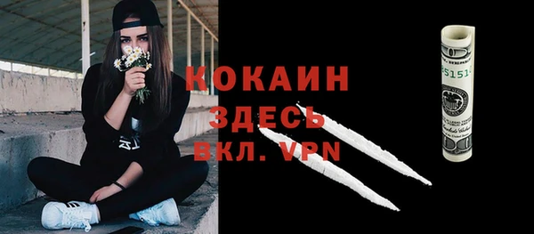 дживик Алзамай