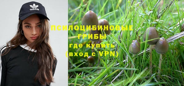 шишки Абинск