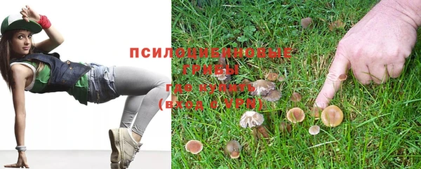 шишки Абинск