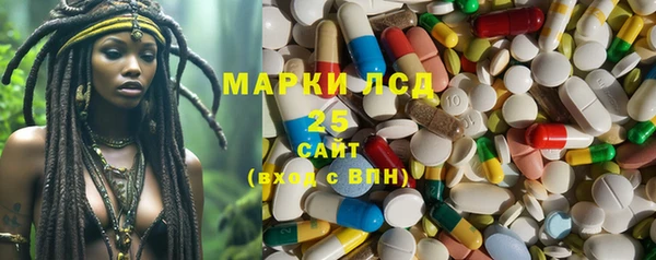 шишки Абинск