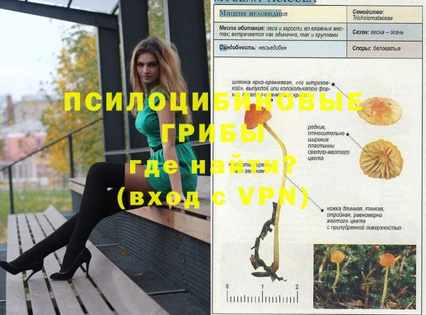 шишки Абдулино