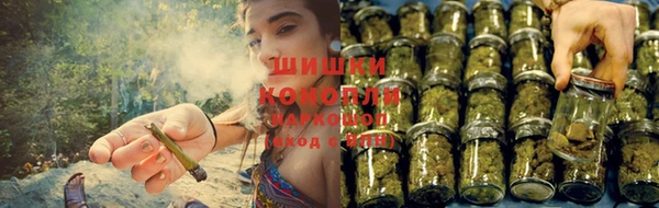 шишки Абдулино