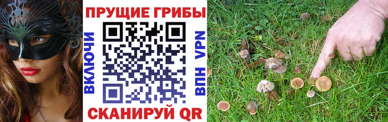 Псилоцибиновые грибы мухоморы  Нижнекамск 